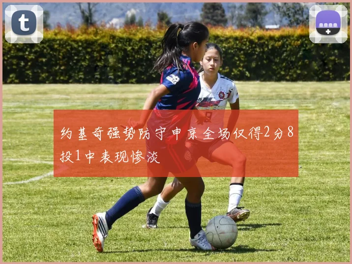 约基奇强势防守申京全场仅得2分8投1中表现惨淡
