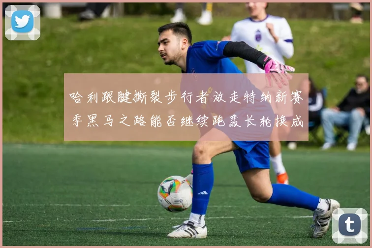 哈利跟腱撕裂步行者放走特纳新赛季黑马之路能否继续跑轰长轮换成关键